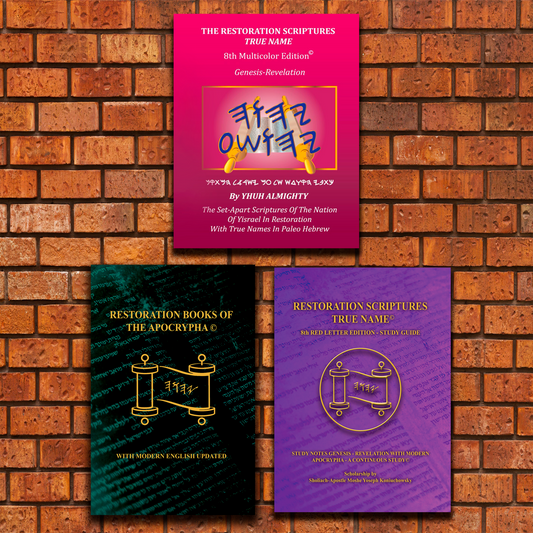 The Three Treasures Pack-Hardcover Restoration Scriptures Multicolor Edition Gen.- Rev. + Modern English Apocrypha + Study Guide