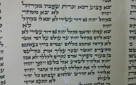 Kosher Torah Scrolls From Israel