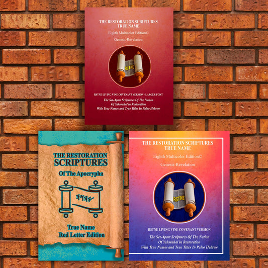 Three Book King Set Living Vine Covenant Larger + Normal Print + Apocrypha