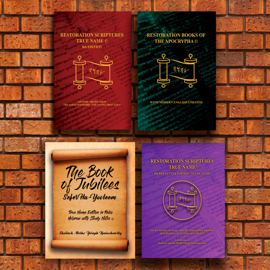 Level 2-Treasure Four Set Restoration Scriptures + Free USA Shipping