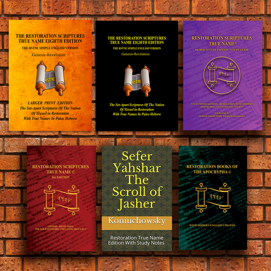 Yas'raal Armor Bundle-Six Softcover Books