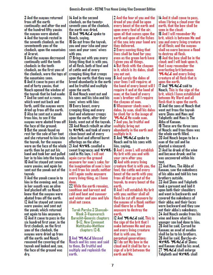 Two Book Set-Restored Torah & Living Vine Covenant Larger Print Editions