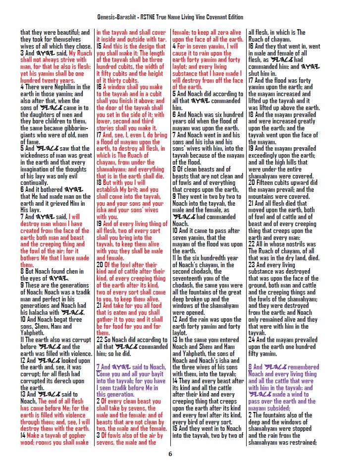 Two Book Set-Restored Torah & Living Vine Covenant Larger Print Editions