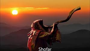 Kol Shofar-The Voice Of The Shofar [Book]